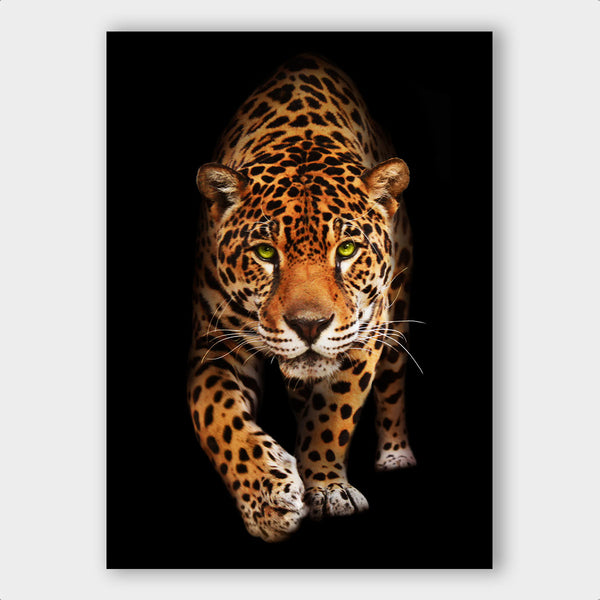 Wild Leopard - Artistic Lab