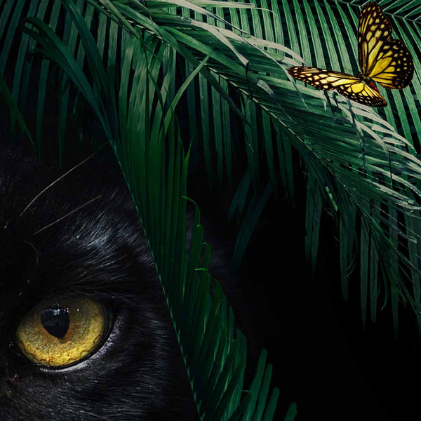 Jungle Panther