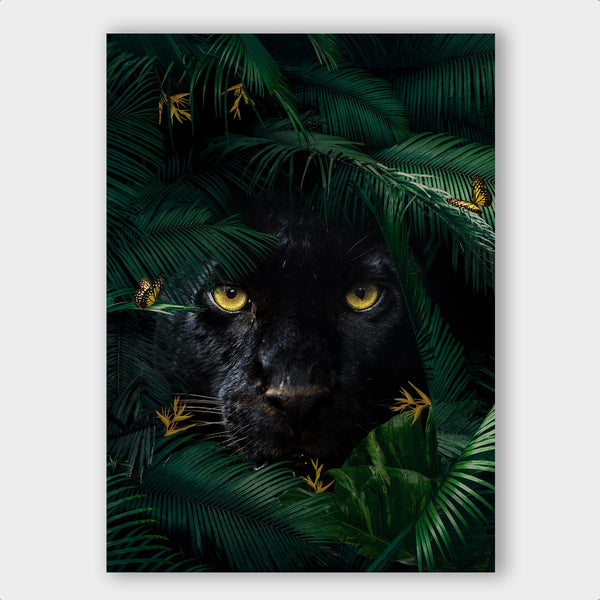 Jungle Panther