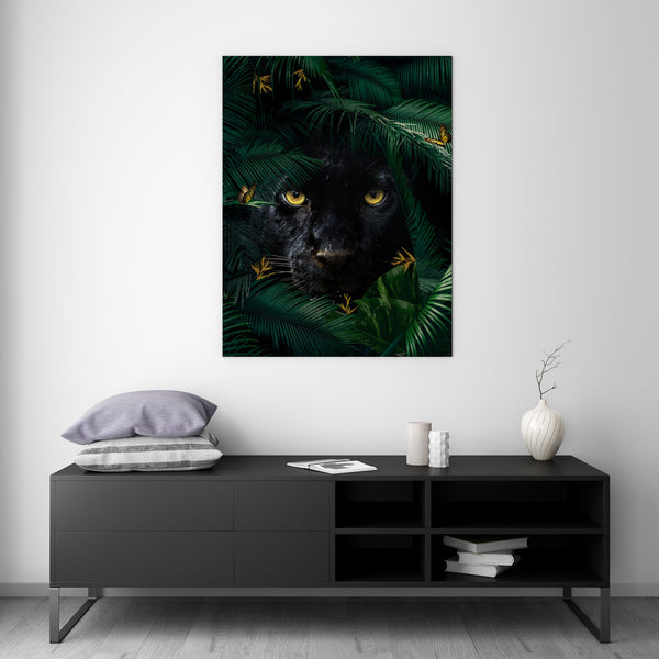 Jungle Panther