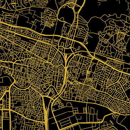 Plattegrond Haarlem